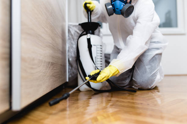 Best Pest Control for Businesses  in Bean Station, TN