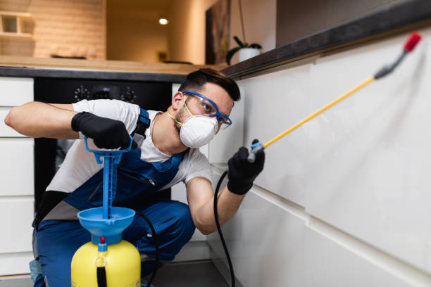 Best Mosquito Control Services  in Bean Station, TN