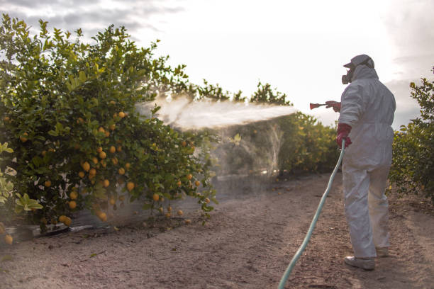 Best Best Pest Control Companies  in Bean Station, TN