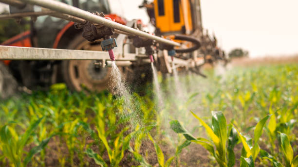 Best Best Pest Control Companies  in Bean Station, TN