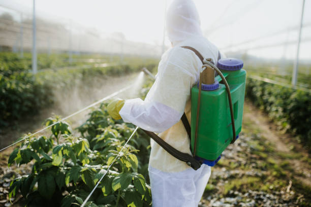Best Insect Control  in Bean Station, TN